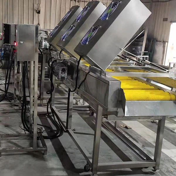 Fruit Vegetable Air Drying Machine