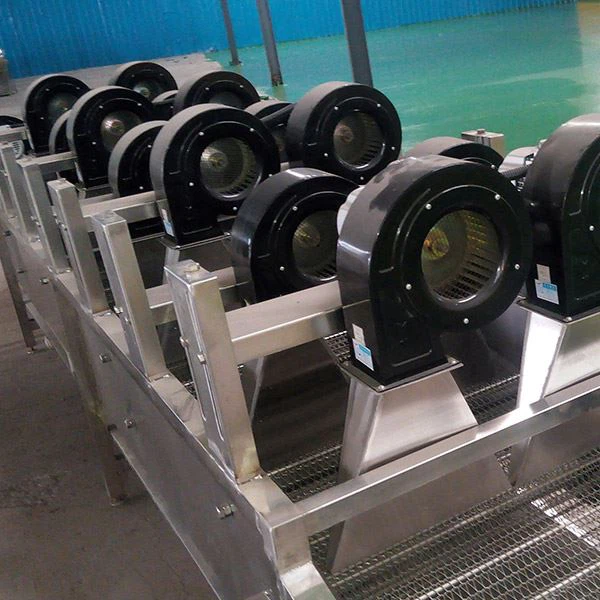 Fruit Vegetable Air Drying Machine
