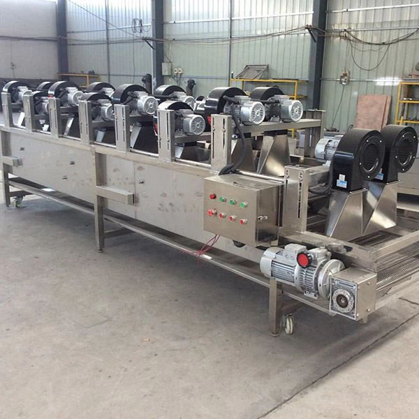 Fruit Vegetable Air Drying Machine
