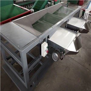 Blåbär sorteringsmaskin