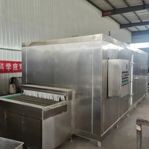 Industrial Fruit Vegetable Instant Freezer