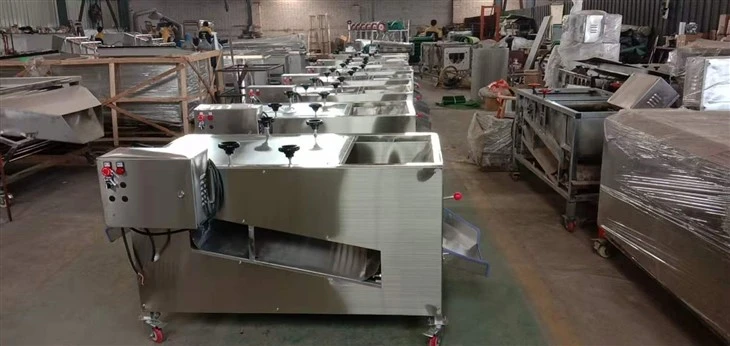 Lentinus Edodes Mushroom Root Cutting Machine
