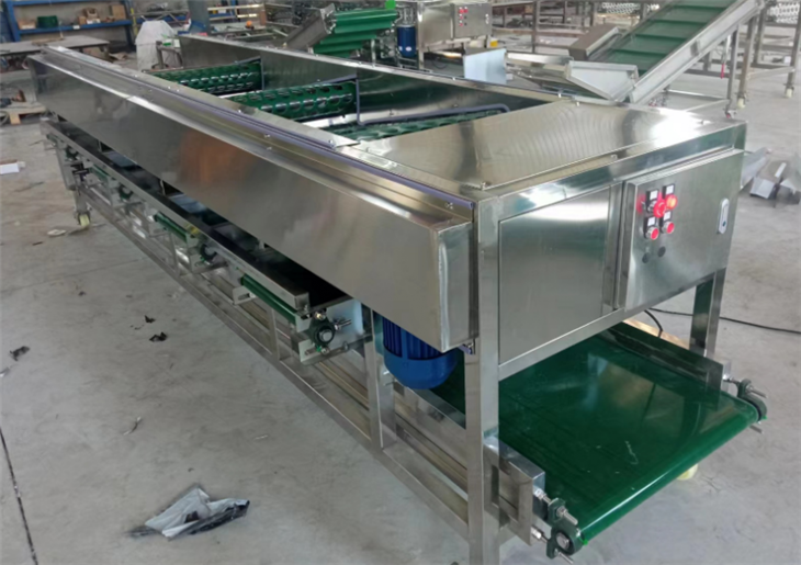 Mushroom Fruit Sorting Machine best