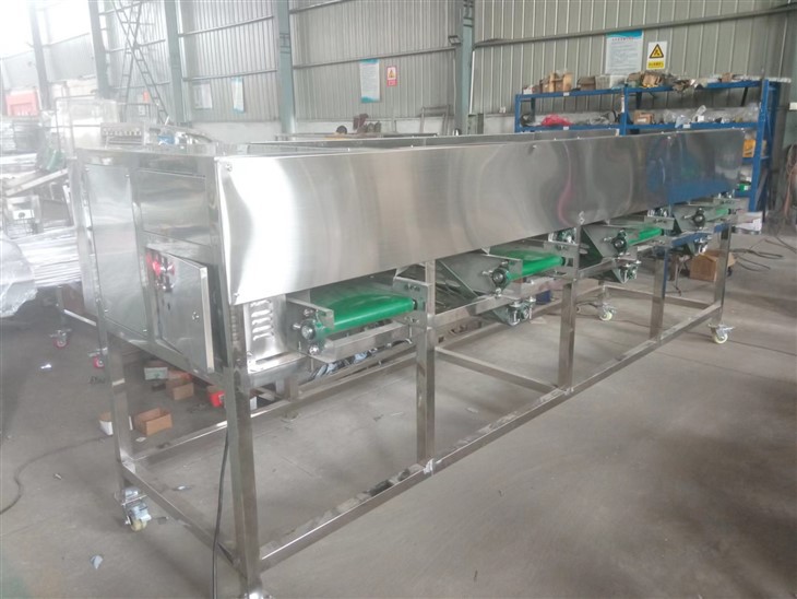 Mushroom Fruit Sorting Machine best