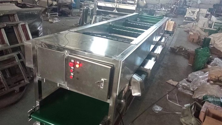 Mushroom Fruit Sorting Machine price