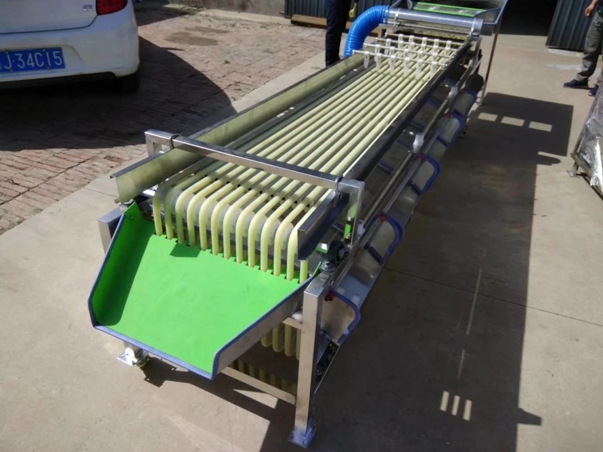 kiwi fruit sorting machine 3 kiwi fruit sorting machine 3