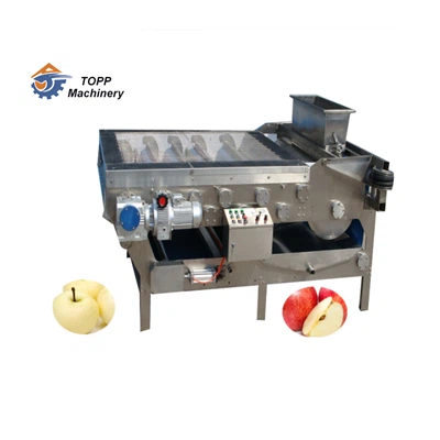 Bälte fruktsaftmaskin