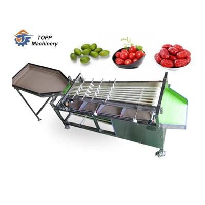 Olive sorteringsmaskin